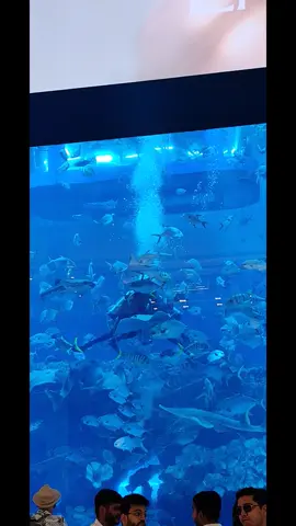 #dubai🇦🇪 