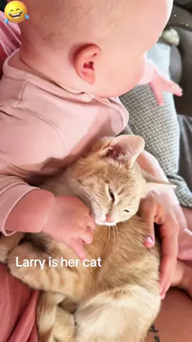 Cute baby and cat #baby #funny #tiktok #fyp #Foryou #funnyvideos #funnytiktok #funnymoments #funnybaby 