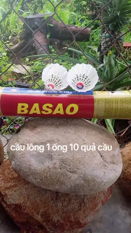 #Hộp cầu lông 3 sao giá rẻ gồm 10 quả, cầu lông dành cho trẻ em và người mới chơi 