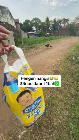 Promo popok bayi 1 ball cuma 33 ribu #mamypoko #mamypokopants #pempersmurah #popokbayi #popokmurah 