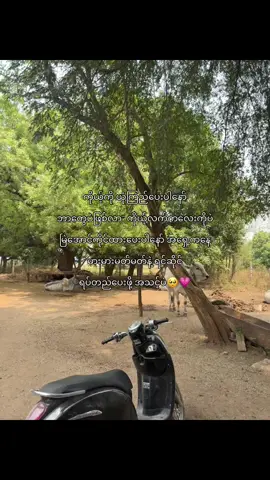 @ꪑ နော်ကလေးလေး💕🫶🏻🥺#foryou #fypシ #viral #foryoupage #tiktokmyanmar #xybca 