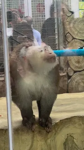 This dude is amazing 🤩 