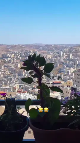 #fypシ #tiktoklongs #الشعب_الفلسطيني_ماله_حل😂😂😭💔 #جبل_النار🔥🔥 #نابلس_فلسطين 