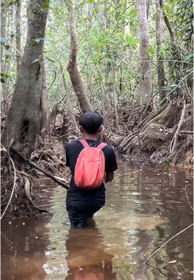 Dapat ikan apa ya kira-kira? #viral #fyp #bocahpecicilan 