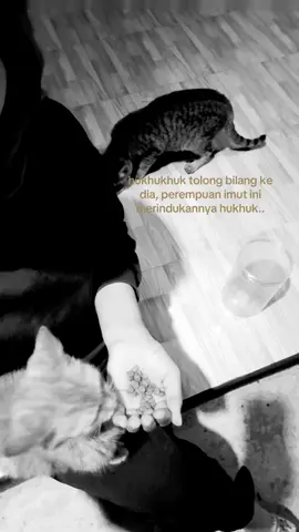 #senjadanmalam 
