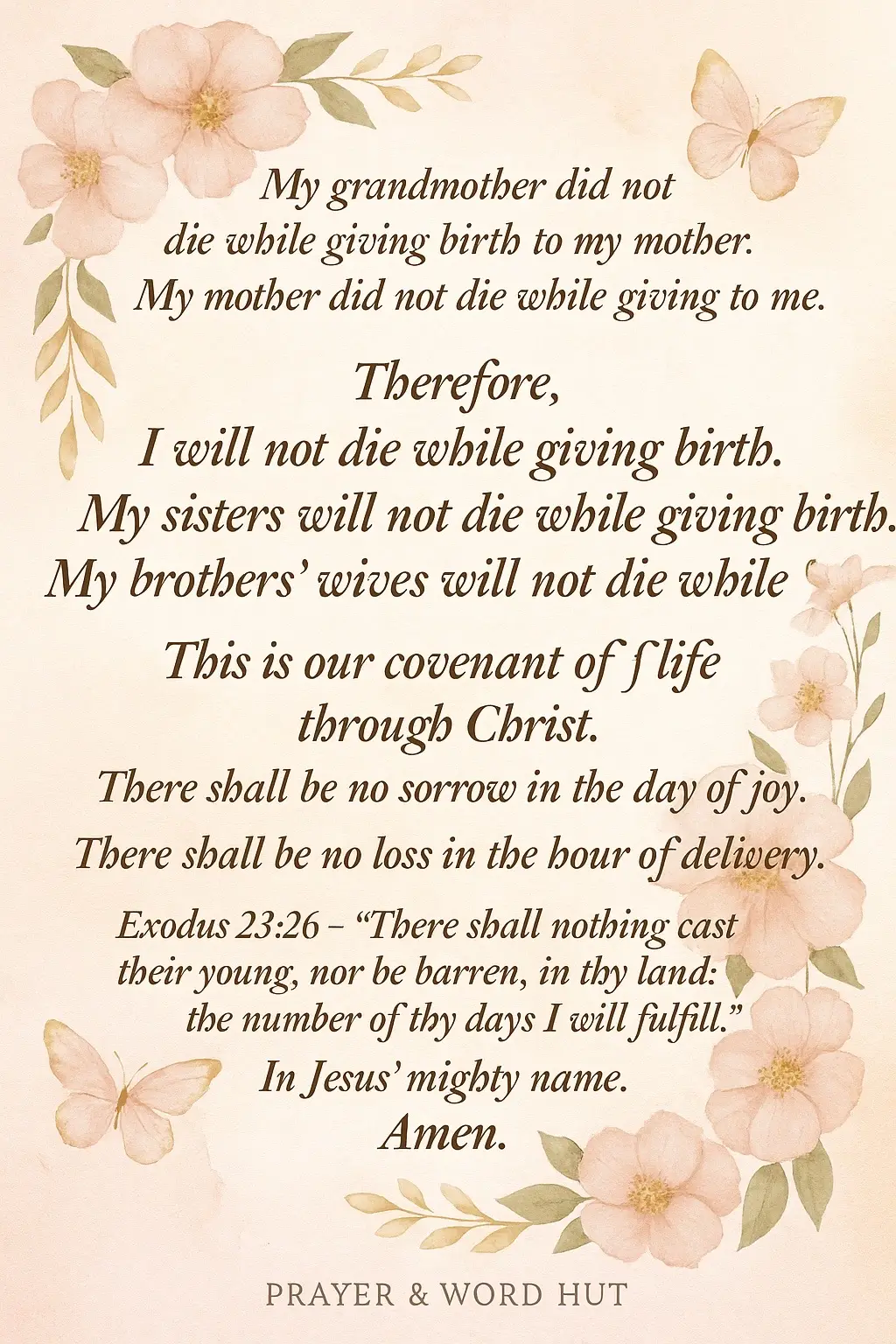 My grandmother did not die while giving birth to my mother. My mother did not die while giving birth to me. Therefore, I will not die while giving birth. My sisters will not die while giving birth. My brothers’ wives will not die while giving birth. This is our covenant of life through Christ. There shall be no sorrow in the day of joy. There shall be no loss in the hour of delivery. 📖 Exodus 23:26 – “There shall nothing cast their young, nor be barren, in thy land: the number of thy days I will fulfill.” We will carry to full term, We will deliver in peace, And we will rise with our babies — In Jesus’ mighty name. Amen!	•	#ChristianMoms 	•	#FaithInMotherhood 	•	#MotherhoodWithGrace 	•	#GodlyHeritage 	•	#FamilyCoveredByGod 	•	#JesusCare