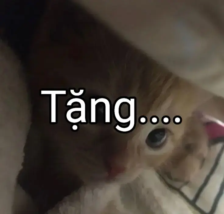 Tặng...#thuydanak #hehejhẹ #dethuong #ayyahmahastagthuydantiepthikho 