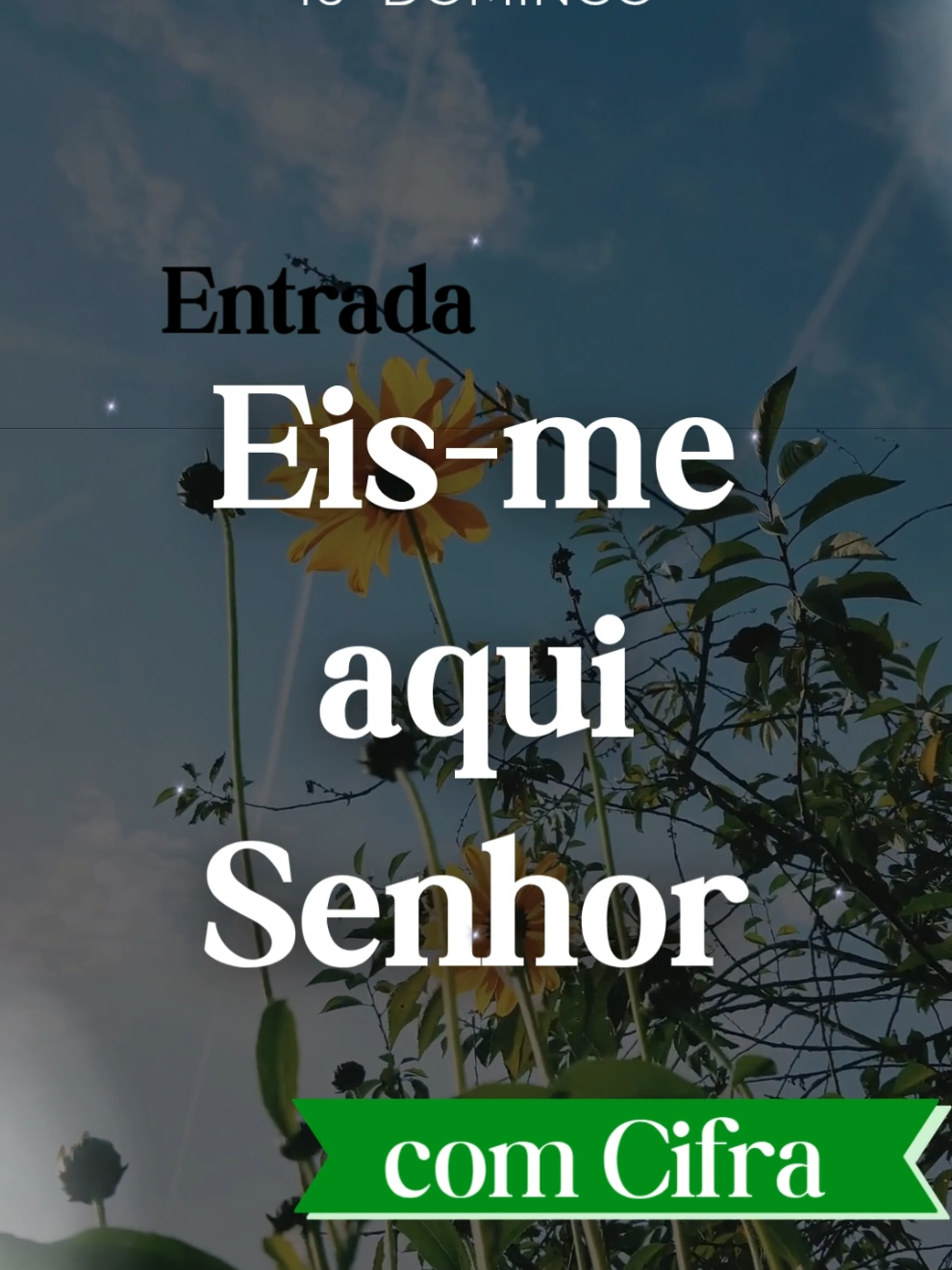 Entrada Eis-me aqui Senhor  16° Domingo do Tempo Comum  com Cifra  #domingo #igreja #missa #musicaparamissa #musicadeigreja #cantodeigreja #missadedomingo #entrada #cantodeentrada #cantodeentradasantamissa🎵  #tempocomum