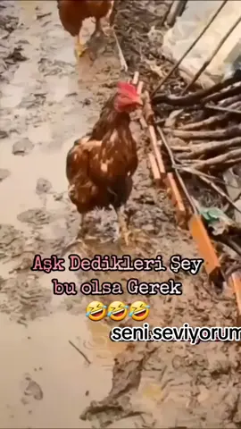 #anılar 