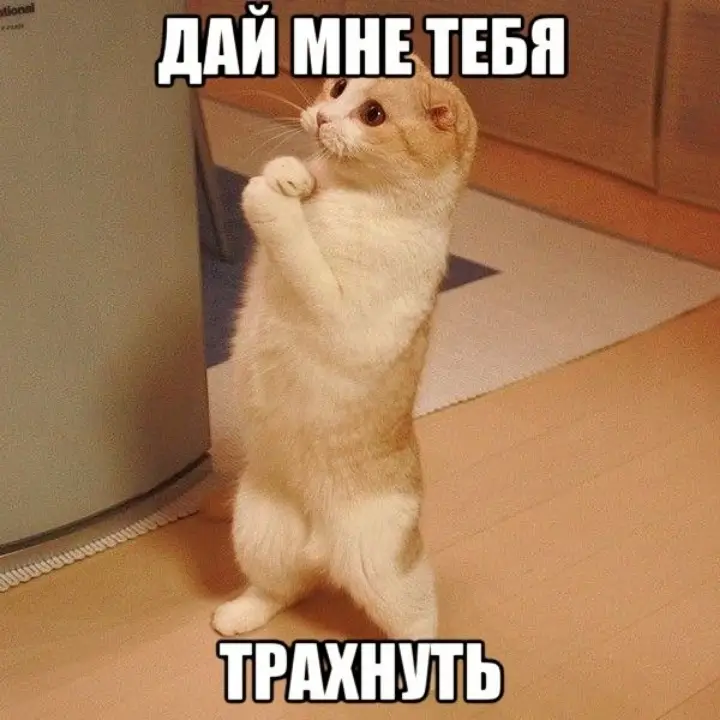 ❕️ТГ С Х€НТОМ В БИО❕️