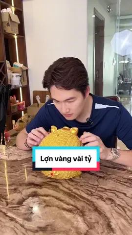 Mua con lợn vàng vài tỷ...#heodattietkiem #heodat #lontietkiem #dogiadung #tikhub #xuhuong 