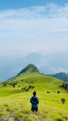 Sabana Merbabu 🤤 #CapCut #pendaki #pendakigunung #gunungindonesia #pendakigunungindonesia #gunung #pendakiindonesia #trailrun #trailrunning #merbabu #fyp #fypage 