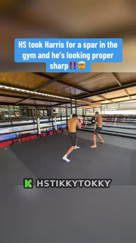 @hscroctokky #hstikkytokky #hstikkytokkylive #hstikkytokkyclips #viral #fyp 