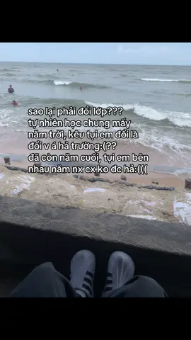 nghe tin mà tim thật sự hẫn đi một nhịp:((( || #xh #fyp #caption #school 