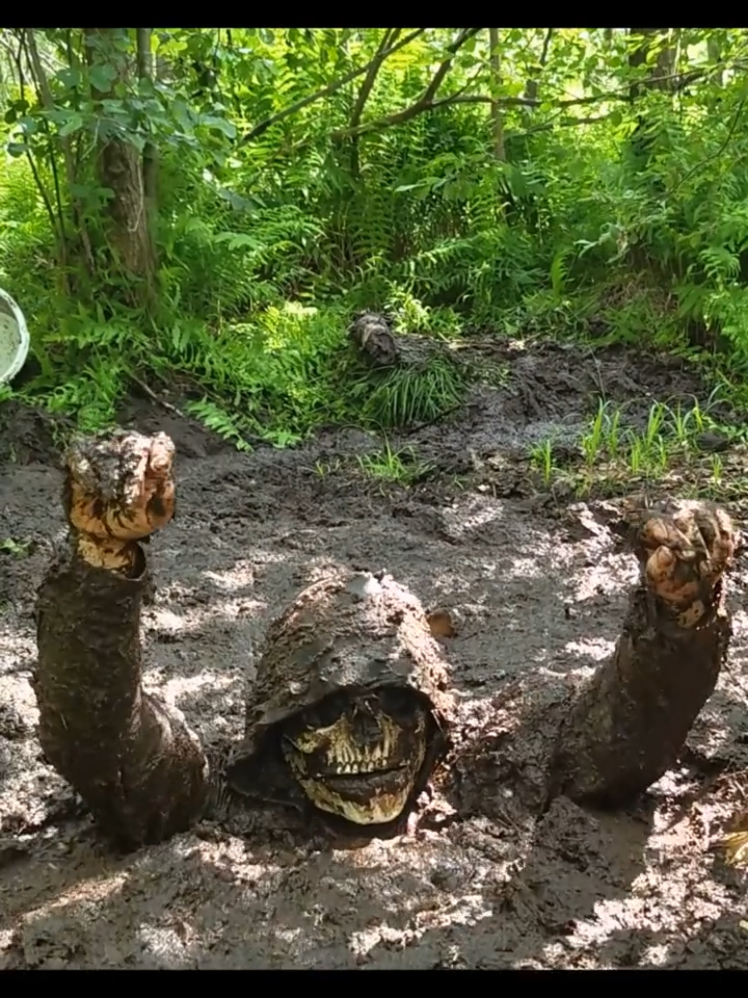 Mud Bath💚 #BogJumping #Bog #Mud #Swamp #Quicksand #ASMR #nature #extreme