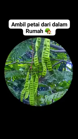 pemain blakang layar,, sabar seperti apa yang anda maksud jika lawanmu seorang Sn1p3r 🥷#fypシ゚ #PecanduHunting🇮🇩 #masukberanda 