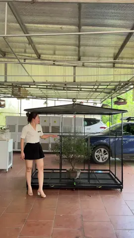 A vi siêu to lại còn đẹp nữa !