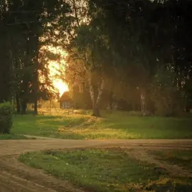 Фирдус Тямаев- Тала Тала #щитпост #speedsongs #песня #trending #липсинг #музыка #чакчак #татария #татарский #татарстан #татар #тямай #фирдустямаев #тямаев 