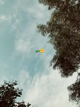 #tiktokviralvideo #bangladeshawamileague #bangladeshstudentleague #foryoupage #foryou #foryoupage 
