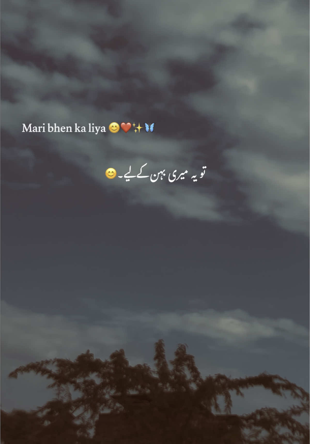 Mare bhen 😊❤️✨🦋#fyp #1millionaudition #foryoupage #grow #account #viral #urdu #aesthetic #poetry #sulmanedites #hehe_sulman 