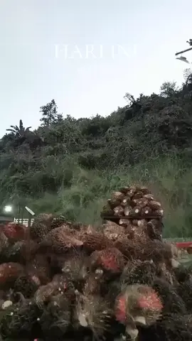 #padahariini