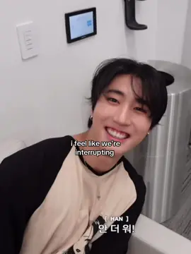 #straykids #han #hanjisung #leeknow #minho