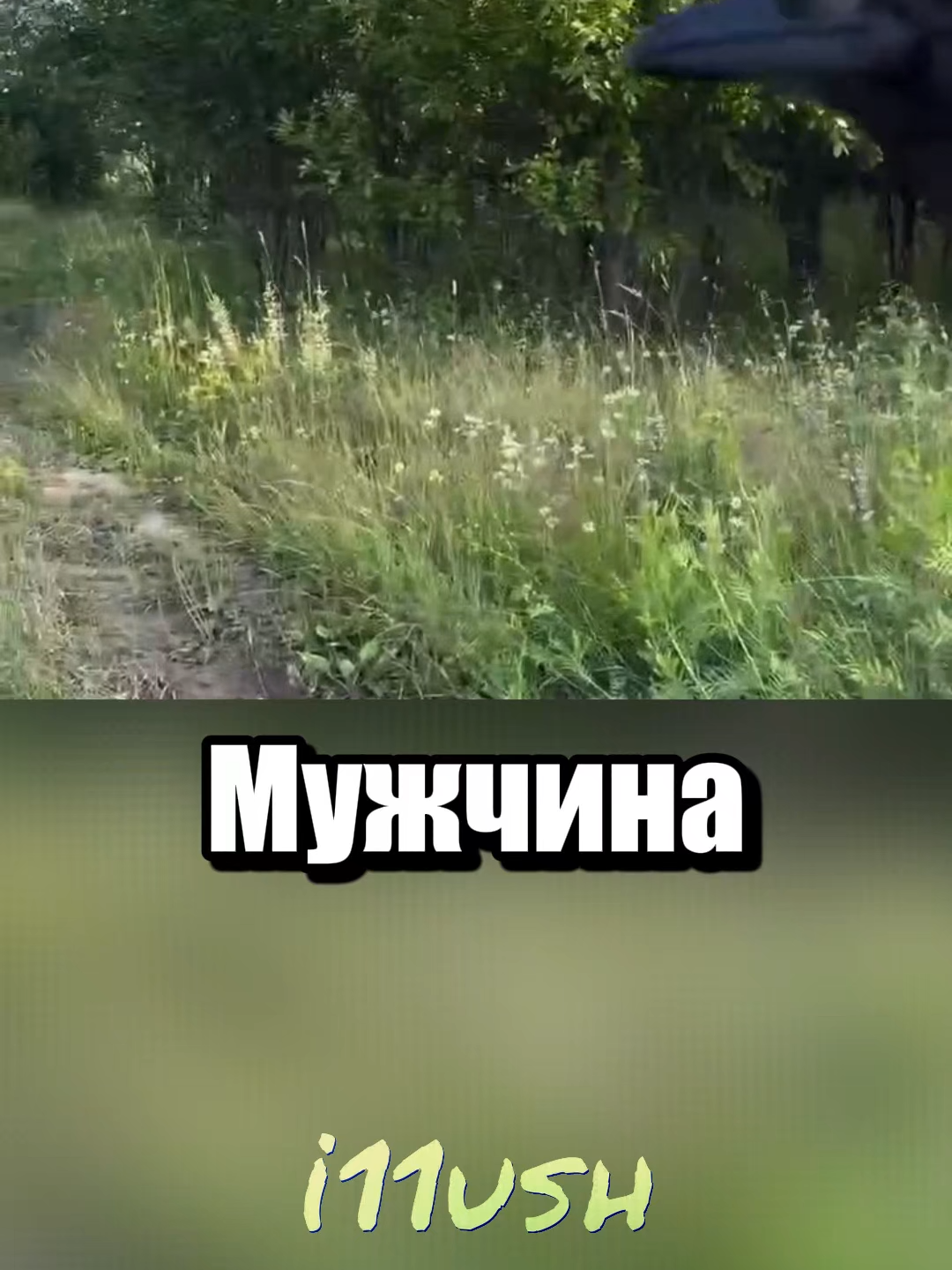 Полезный навык у воронов