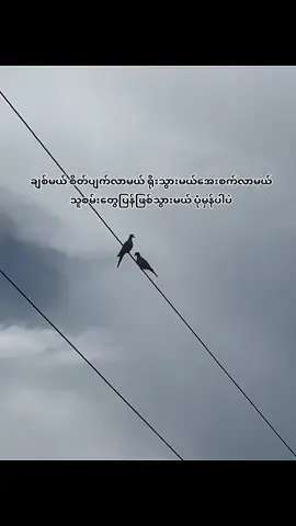 #fyp #fypage #foryoupage #foryou #tiktokmyanmar🇲🇲 #fyppppppppppppppppppppppp 