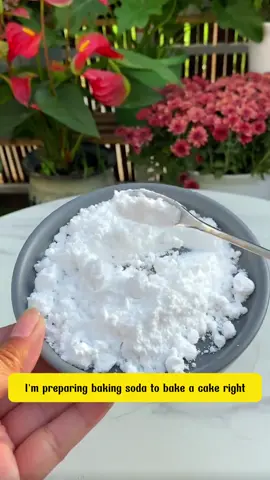 Useful tips with baking soda #Tatcha #planthack #planttest #planttricks #agriculture #PlantTok 