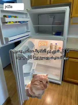 😂💔#متابعه_لايك_تعليق#شعب_الصيني_ماله_حل#شعب_الصيني_ماله_حل  #مميز#قوالب_كاب_كات 