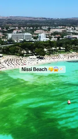 Nissi Beach 😭 #NissiBeach #AyiaNapa #GreenWater #AlgaeGlow #NatureVibes #CyprusNature #VisitCyprus #BeachVibes #EcoTravel #SeaColors
