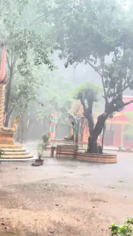 Mưa ☔️ 