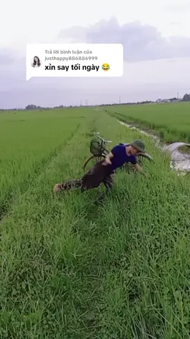 Trả lời @justhappy886886999 trời không nghe đất thì đất phải nghe trời người đẹp ơi muốn bỏ nhưng không bỏ được á😁😁