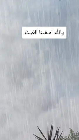 مطر مطر  #مطر #الشعب_الصيني_ماله_حل😂😂 #ترند #اليمن🇾🇪 #اكلسبور 