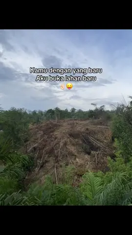 Makin menyala kepok🔥#kulisawit 