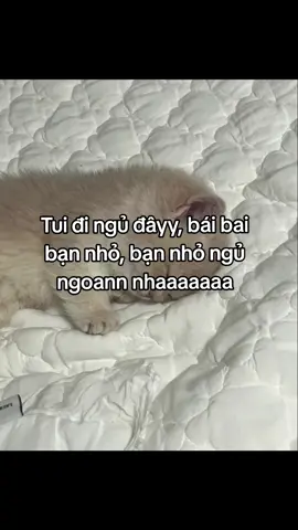ngủ dii #xuhuong #xuhuongtiktok #fyp 