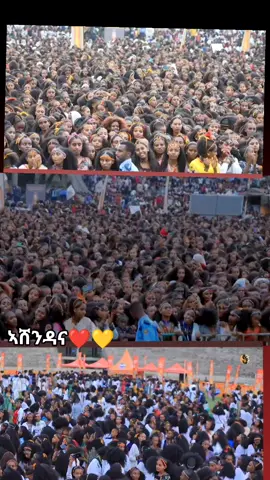 #ኣሸንዳ_ክቡር_ባህልና🌾💊🌾💊 #መቀለና🇮🇩♥️🤍 
