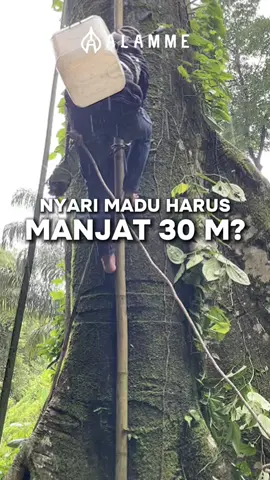 seberharga itu setiap tetes pengorbanan dari para petani lokal kita yang berjuang  setiap harinya!! Dukung para petani kita dengan check out di keranjang kuning sekarang juga!!! #alamme #lebihbaikalamme #petanilokal #blackgarlichoney