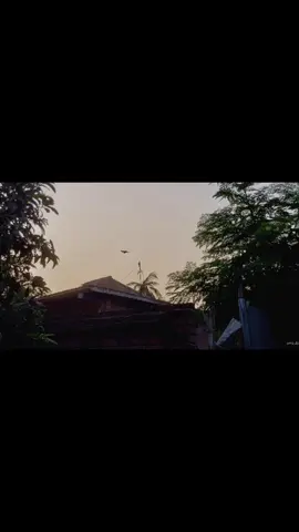 #একাই #আল্লাহর #পথে #চলেন😇 #capcut #tiktokindia #fyp #viralvideo #flowers #trending #tiktok #view #aftarnoon #highlight 