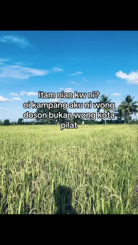 #fyp #foryoupage #xybca #fypシ゚ #4u #foryou #palembang #lalan #katakatapalembang #doson #wongdoson #ilmupadi🌾 
