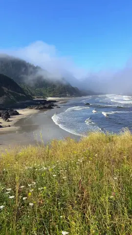 Neptune Beach, Oregon #pacificnorthwest #pacificocean #oregoncoastvibes #waves #oregonhiking 
