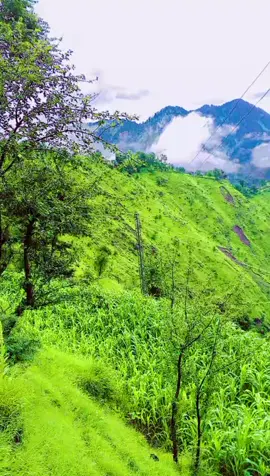 #foryou #kashmiri 