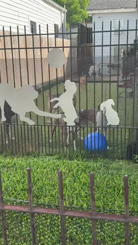 They were ready to come home☺️☺️ #nola #neworleans #dogsoftiktok 