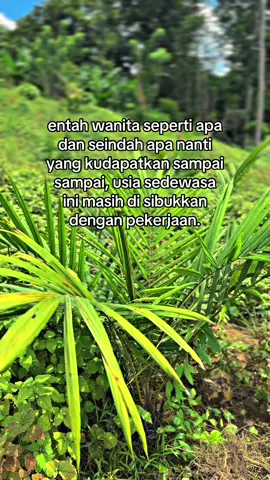 #petanimuda #petanisawit #semuaorang 