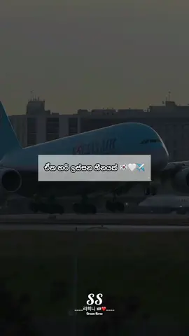ඒක හරි ලස්සන හීනයක් 🇰🇷✈️🤍  #capcut #trending #tiktok #viral #tiktokviral #foryou #fyp #foryoupage #yyyyyyyyyyyyyyyyyy #fffffffffffyyyyyyyyyyypppppppppppp #southkorea #1millionviews #කොරියන්_life❤️ 