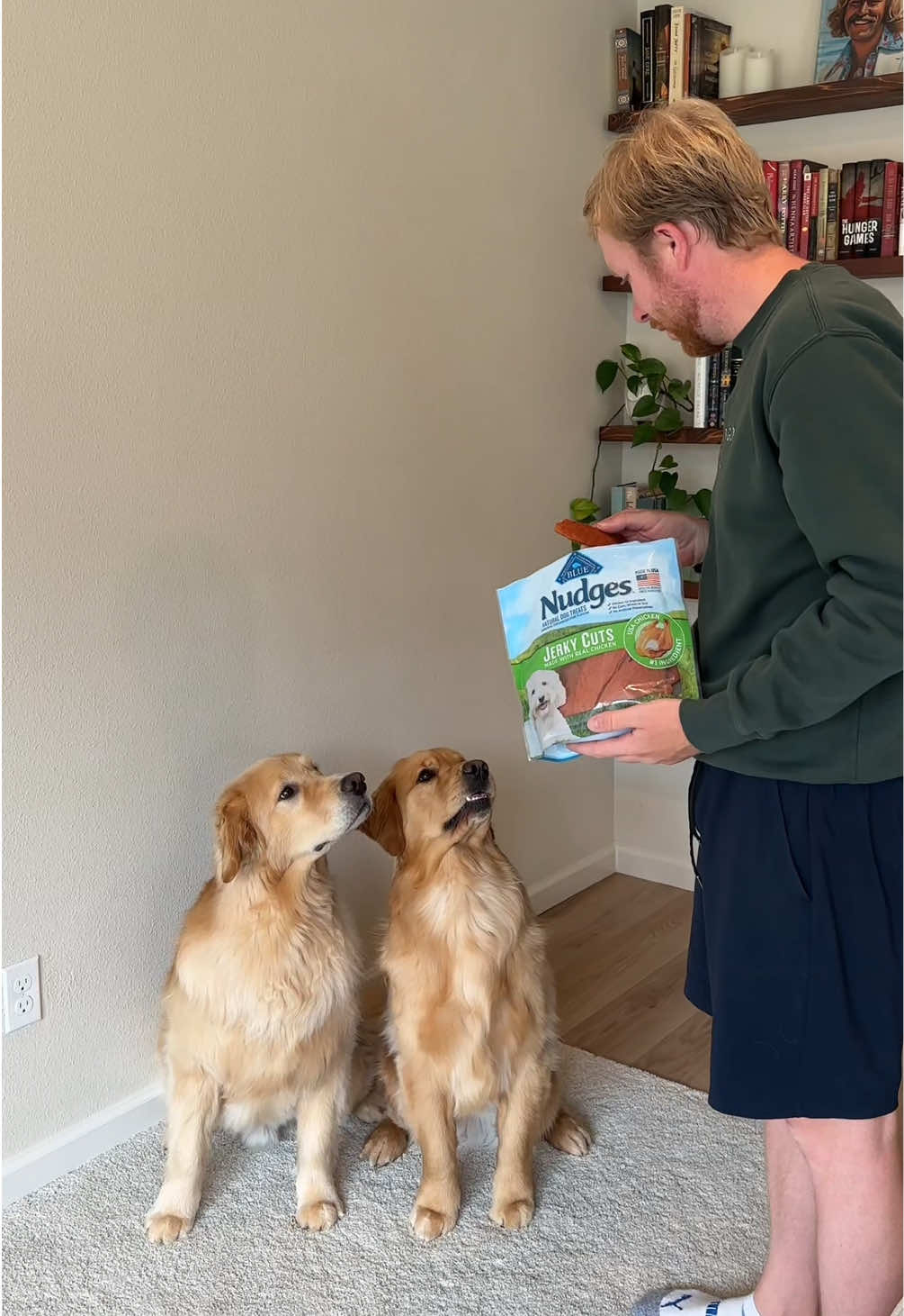 #BlueBuffaloPartner These @Blue Buffalo treats make us want to show off! Check out Blue Buffalo's Nudges treats made with real meat to give your pups the treats they'll do anything for! #goldenretriever #petlover #dogs #BlueBuffalo