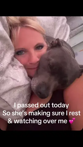 #breesworld❤️ #staffy #staffordshirebullterrier #nannydog #fyp 