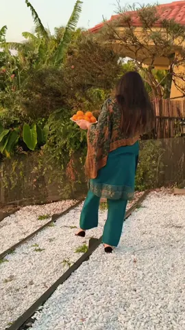 Let’s enjoy sunset🌅☺️😊🌹✌️🪭#foryourpage #saudiarabia #dubai #germany #dontunderreviewmyvideo 