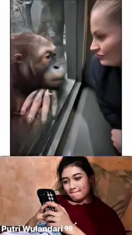 #🤣🤣🤣 #funnyvideos #foryou #viraltiktok #putri_wulandari90 #foryoupage #1millionaudition 