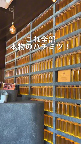 ⇩ お店の詳細🍯 ⇩ 他の投稿はココから  @taro_shiga  —————————————  今回紹介したお店は  『RICHLABEL832(@richlabel_832 )』さん！  ハチミツを壁に並べるって内装はもちろん ドリンクもこだわりまくり！ この壁圧巻じゃない？😳 ハチミツはいろんな種類を混ぜたりしてやっと作り出した味なんやって✨ まじで納得の味… 試食だけはやってみてほしい！ 価格帯は カフェチェーンのフラッペより安くて美味しい🤤 【店舗情報】  店名：RICHLABEL832 住所：滋賀県近江八幡市仲屋町中21 まちや倶楽部 営業時間：金〜月11:00〜17:00 定休日：火〜木 駐車場：有り（詳細は店舗のアカウントをご確認ください🙌） 営業状況や駐車場など最新情報を(@richlabel_832 ) さんにてご確認ください！  ————————————— ご覧いただきありがとうございました！ 僕のアカウント（@taro_shiga） では 滋賀歴27年の僕が実際に行って「心が躍った」 県内のお店紹介しています！ 滋賀県民でも知らないようなお店もたくさん🕺 デートや旅行・グルメをお探しの方は ぜひ参考にしてくださいね！ この投稿がよかった！と思った方は いいねや保存、コメントなどいただけると とても励みになります😌 #滋賀 #近江八幡 #観光 #はちみつ #richlabel832 #まちや倶楽部 #城下町 